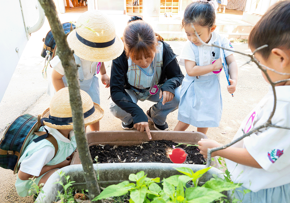 しらいとだい幼稚園
