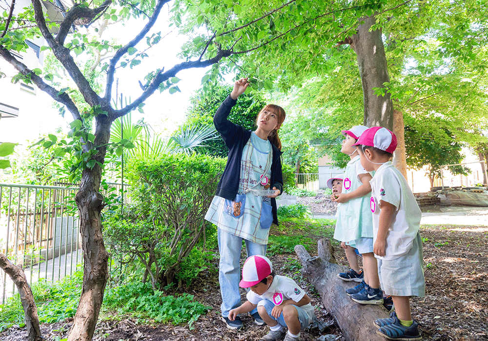 しらいとだい幼稚園