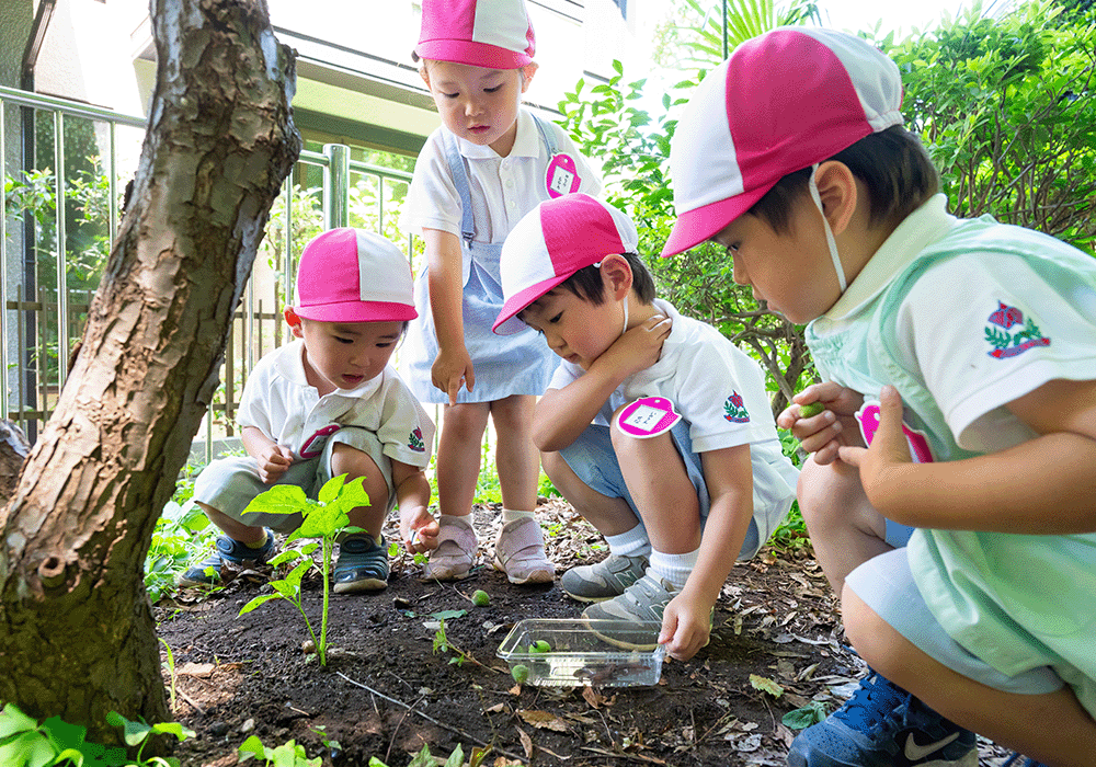 しらいとだい幼稚園