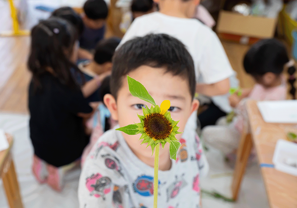 しらいとだい幼稚園