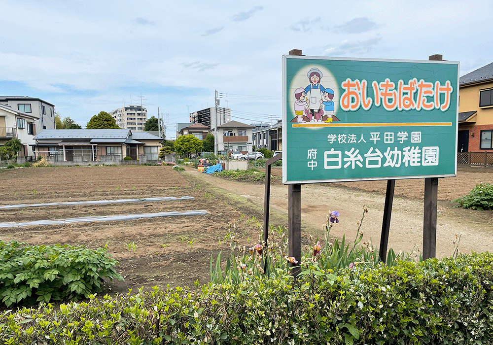 しらいとだい幼稚園